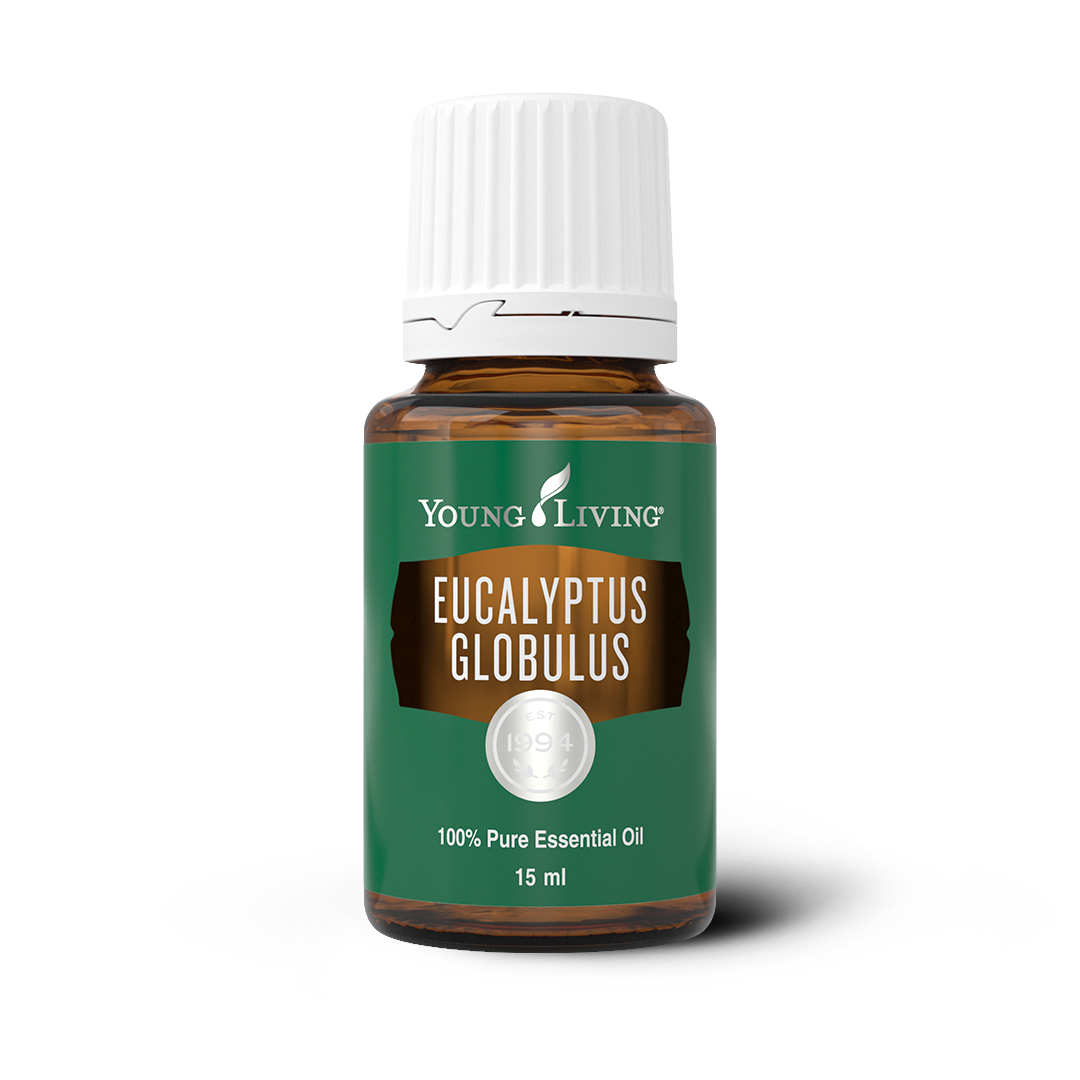 Eucalyptus Globulus Essential Oil