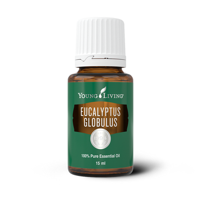 Eucalyptus Globulus Essential Oil