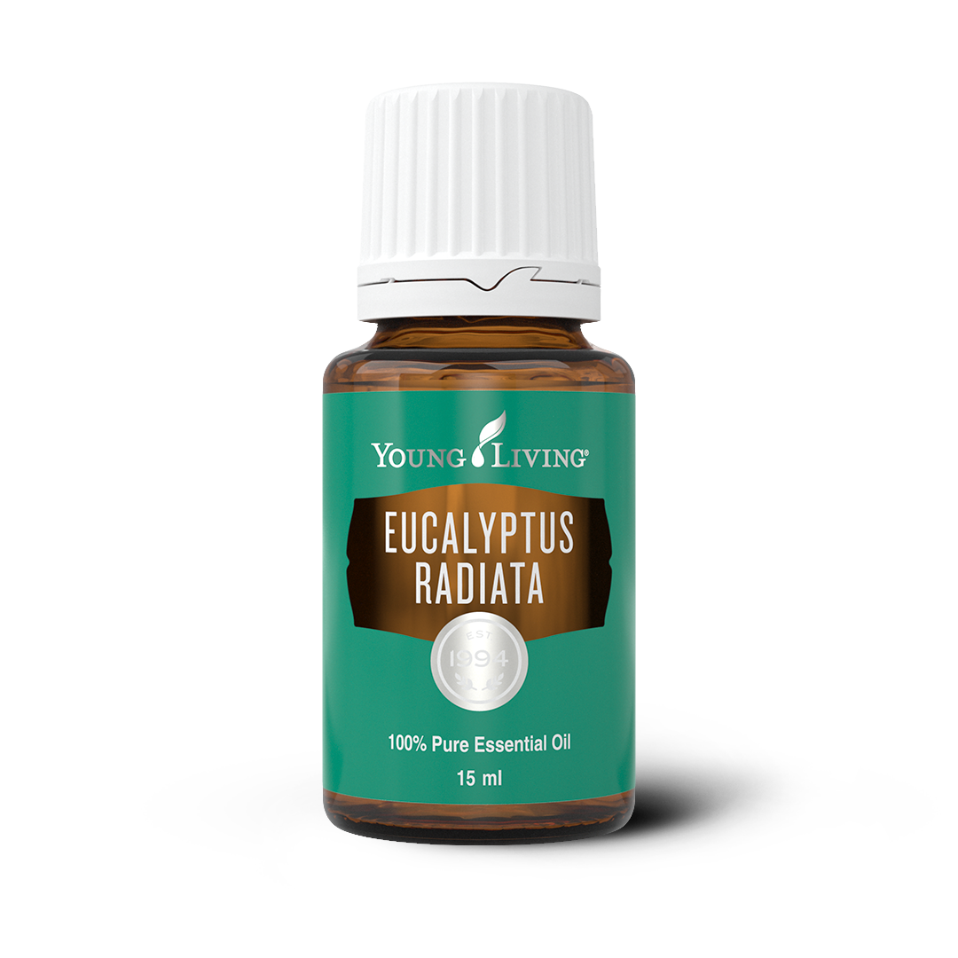 Eucalyptus Radiata Essential Oil