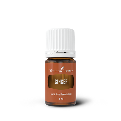 Ginger Essential Oil
