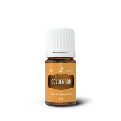 Goldenrod Essential Oil