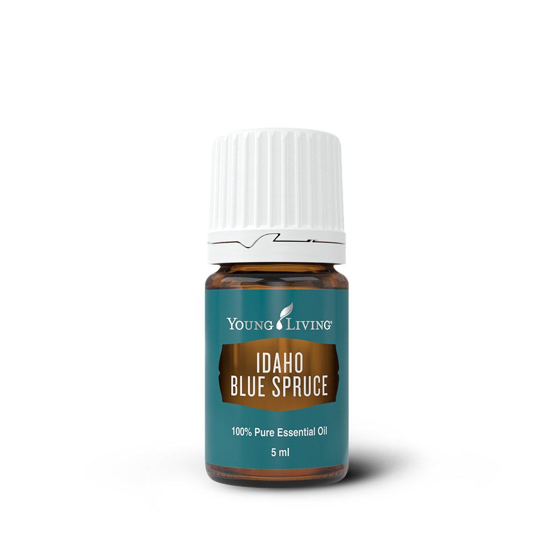 Idaho Blue Spruce Essential Oil