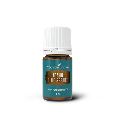Idaho Blue Spruce Essential Oil