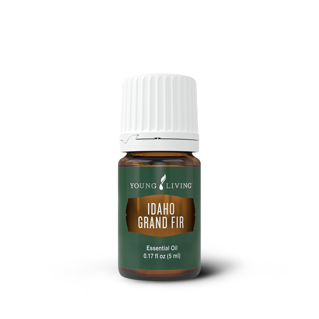Idaho Grand Fir Essential Oil