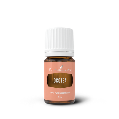Ocotea Essential Oil