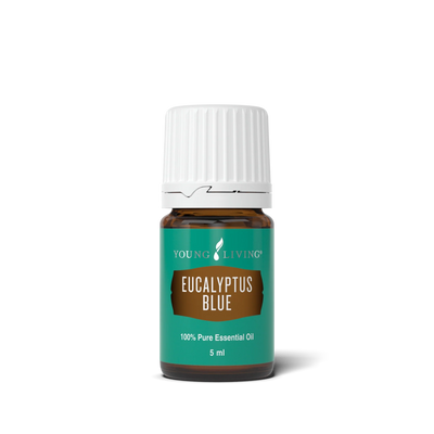 Minyak Pati Eucalyptus Blue