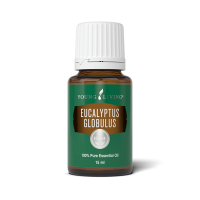 Minyak Pati Eucalyptus Globulus