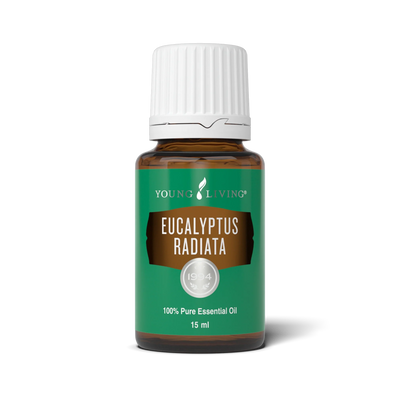 Minyak Pati Eucalyptus Radiata