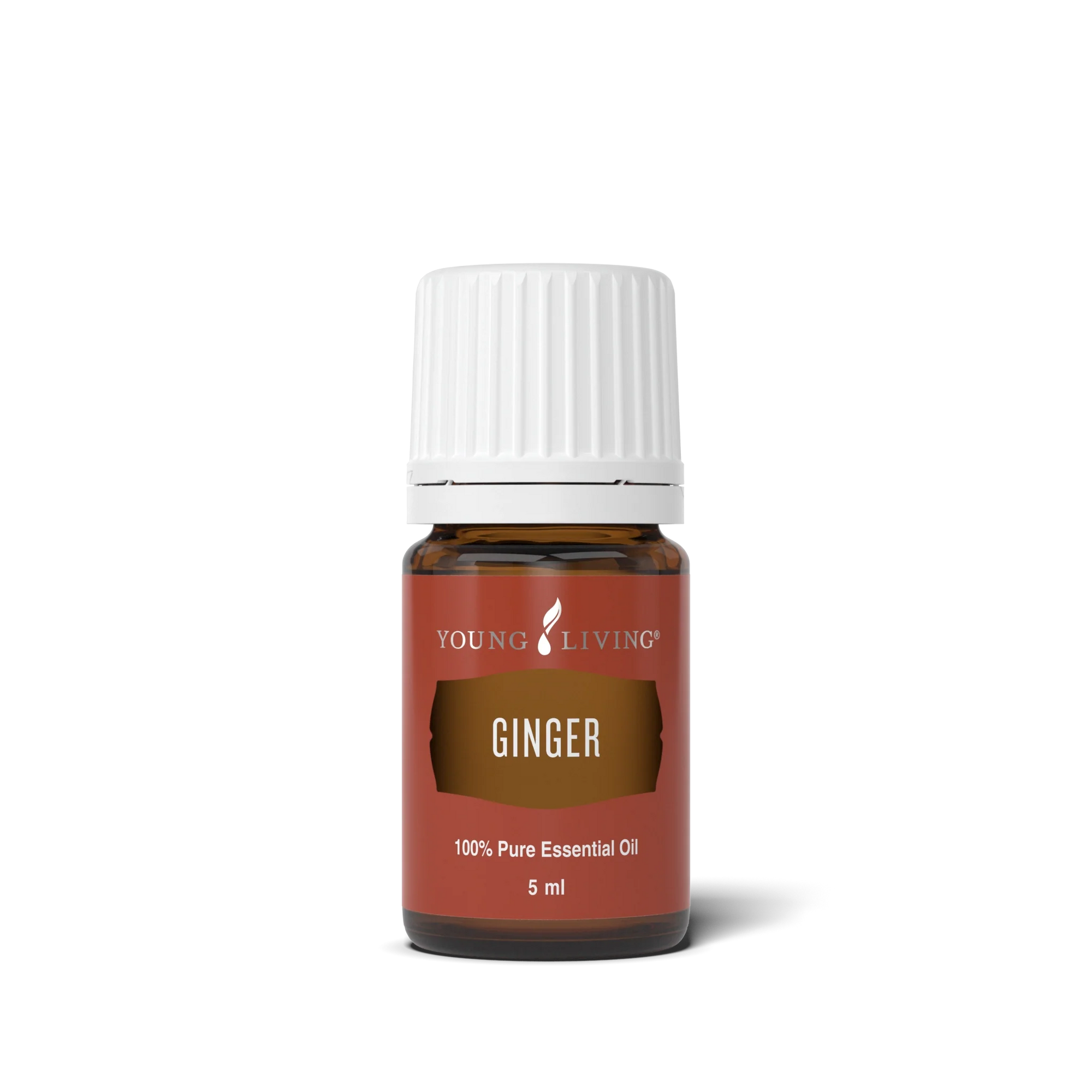 Ginger Essential Oil