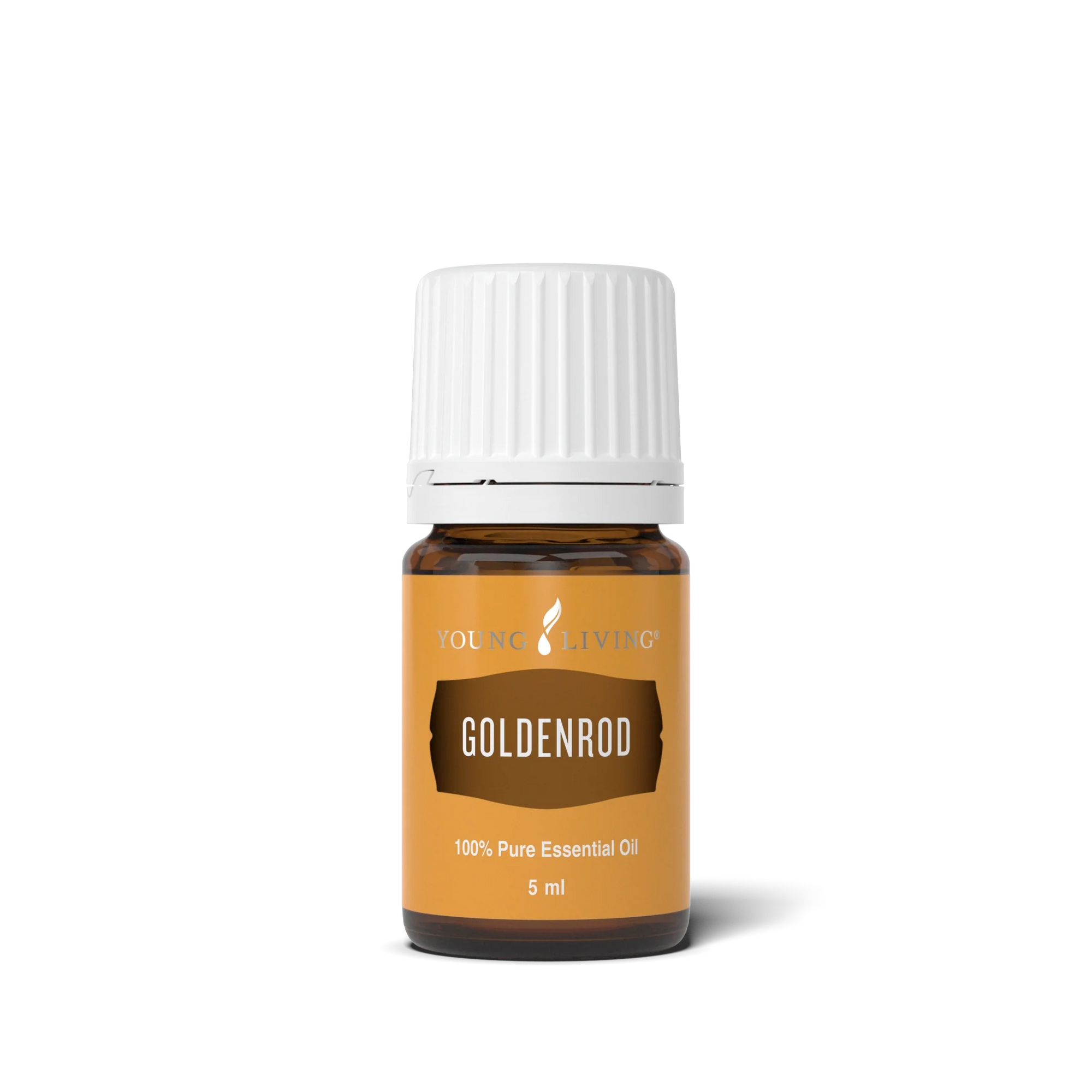 Goldenrod Essential Oil