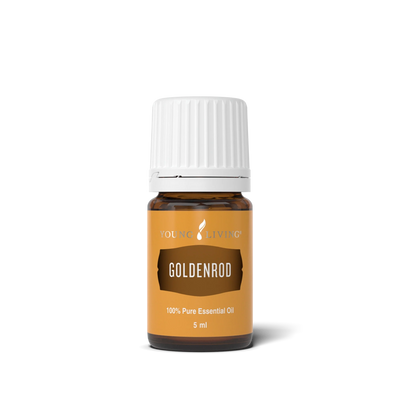Minyak Pati Goldenrod