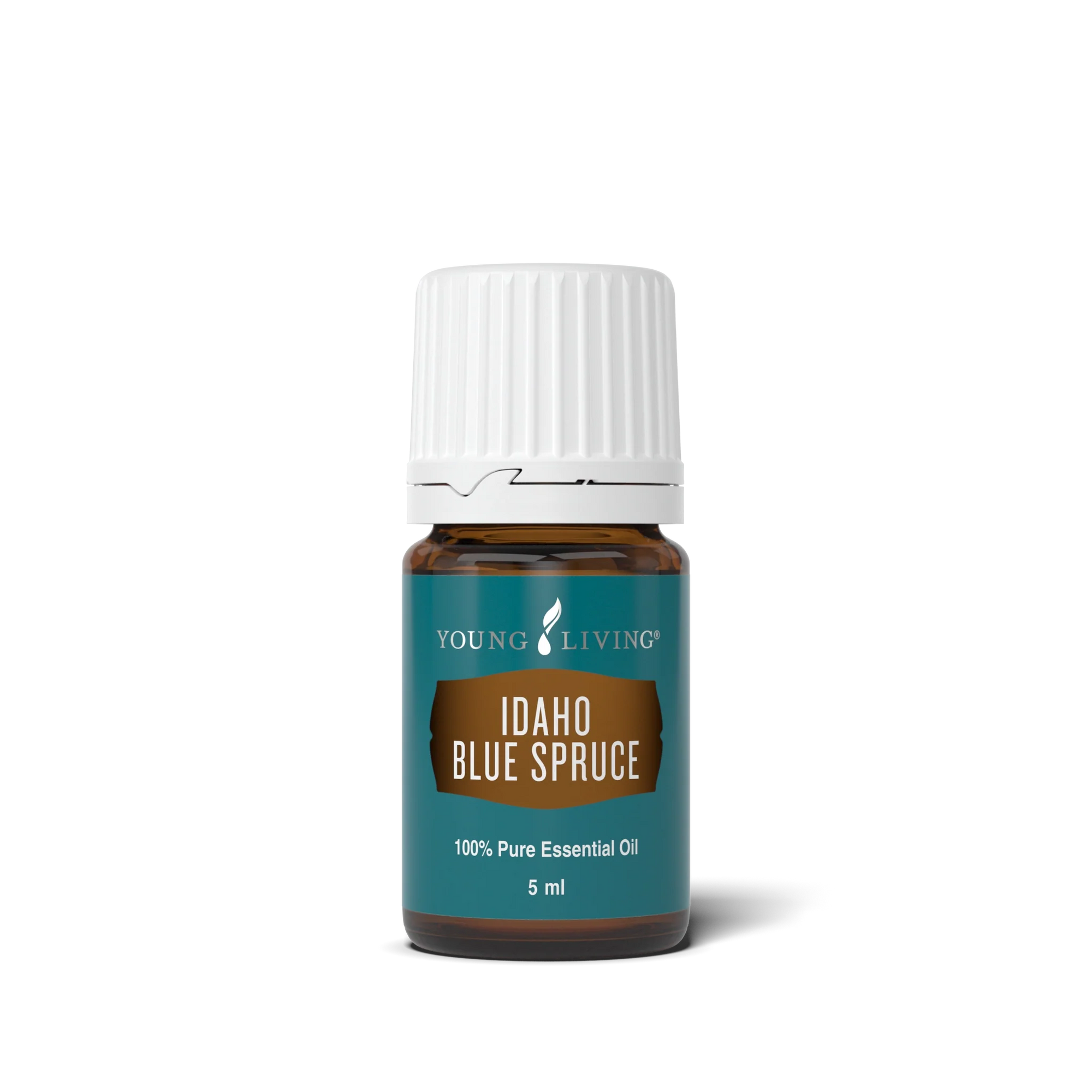Idaho Blue Spruce Essential Oil