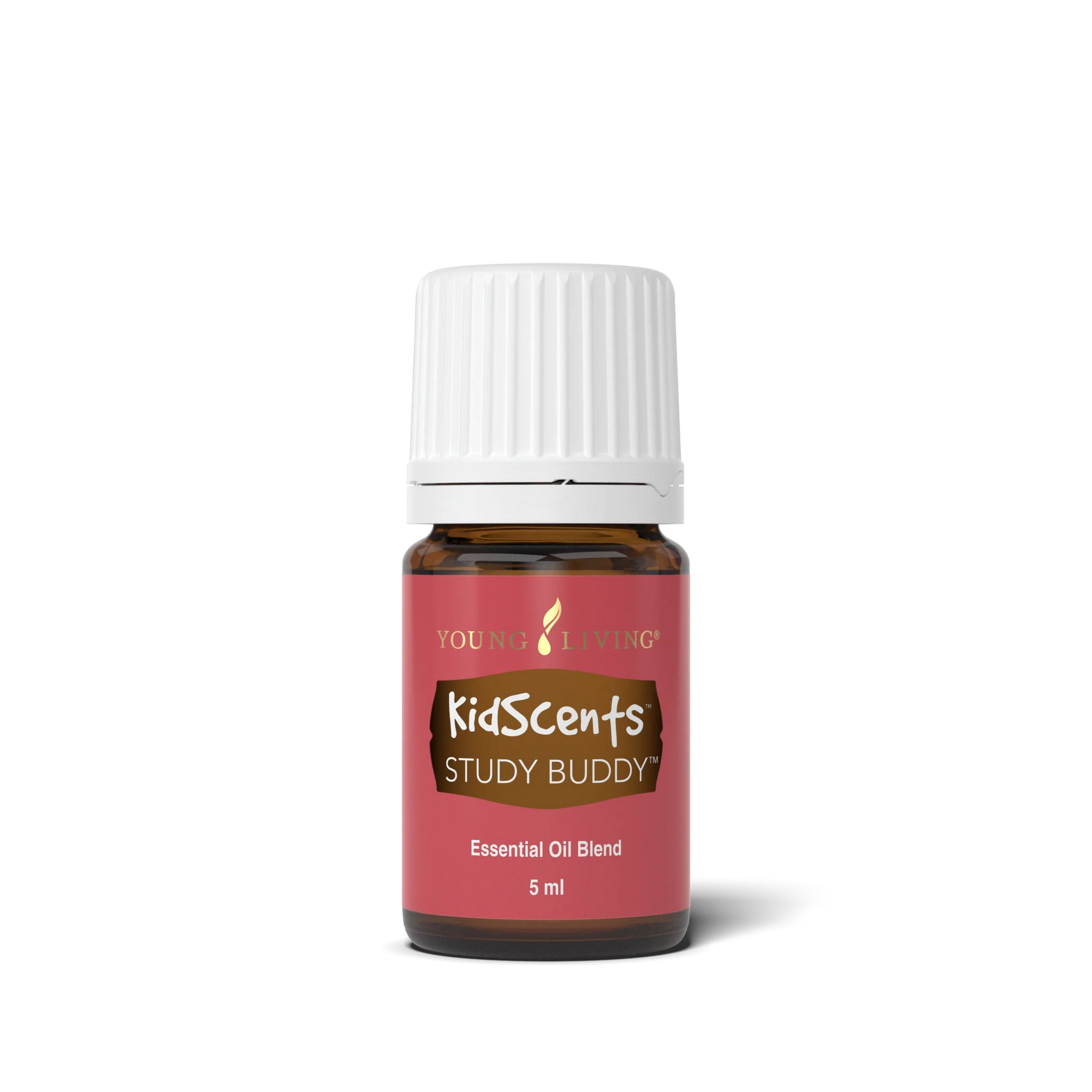 KidScents Study Buddy