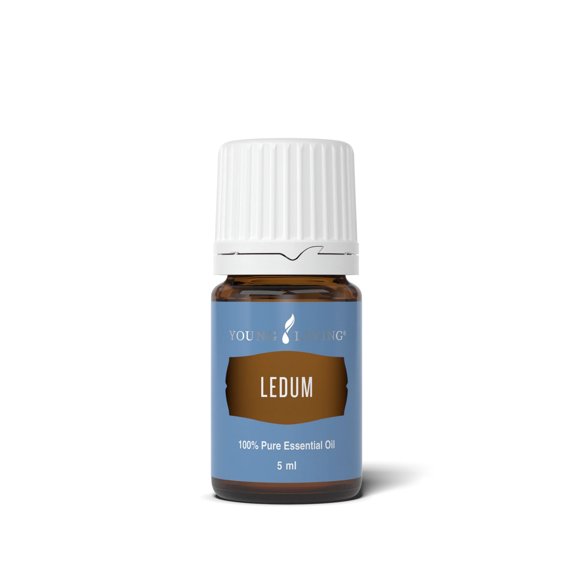 Ledum Essential Oil