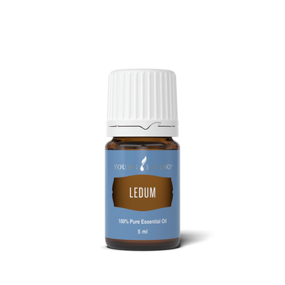 Ledum Essential Oil