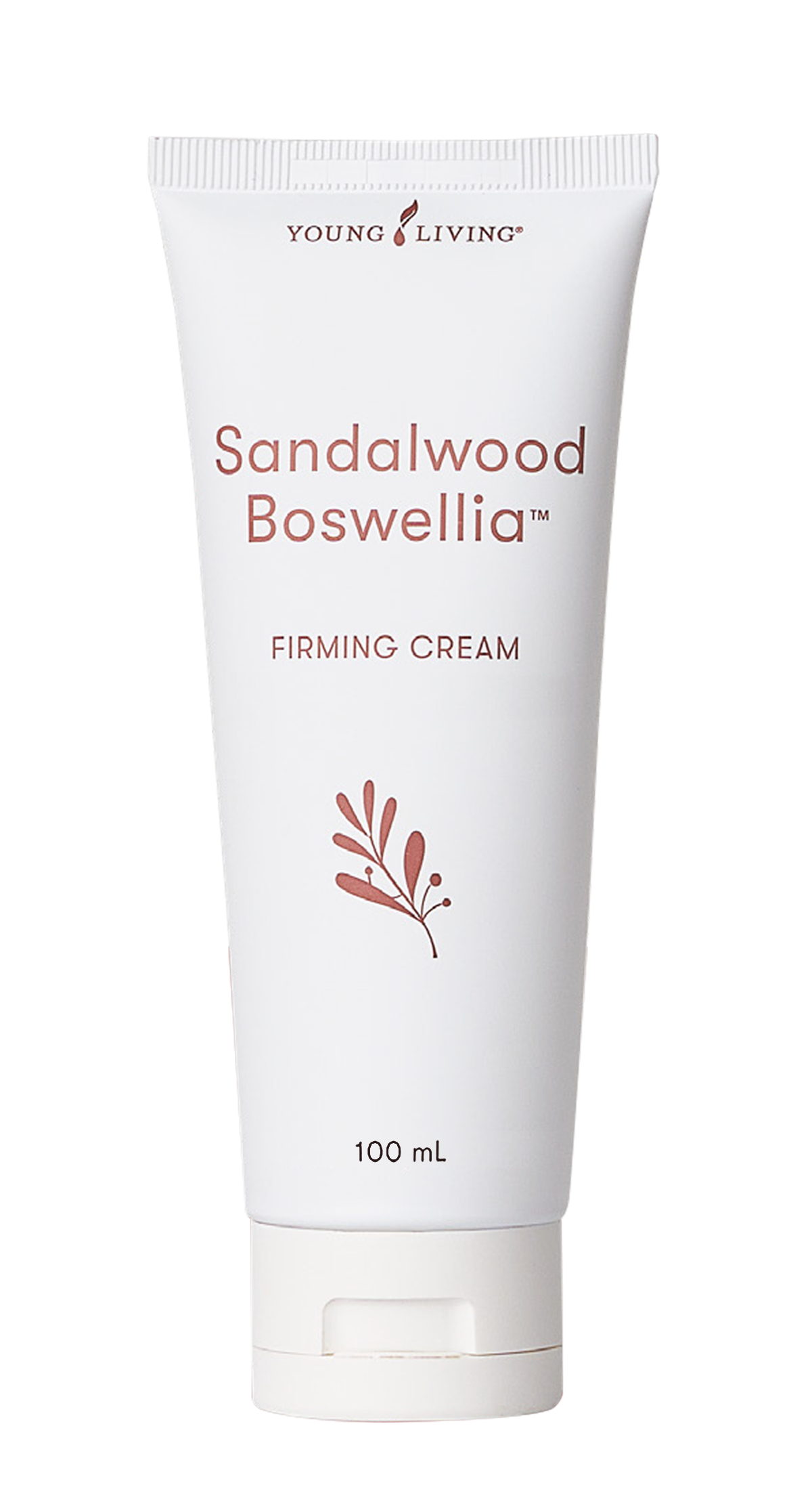 Sandalwood Boswellia Firming Cream